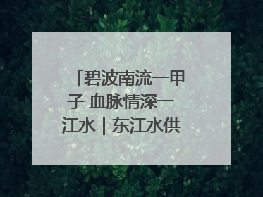 碧波南流一甲子 血脉情深一江水｜东江水供港60周年