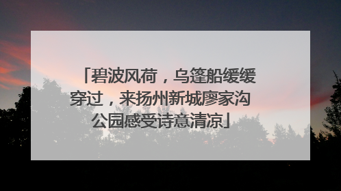 碧波风荷，乌篷船缓缓穿过，来扬州新城廖家沟公园感受诗意清凉