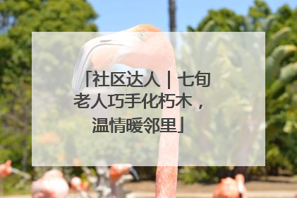 社区达人｜七旬老人巧手化朽木，温情暖邻里