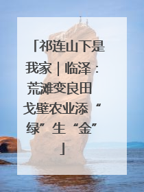 祁连山下是我家｜临泽：荒滩变良田 戈壁农业添“绿”生“金”