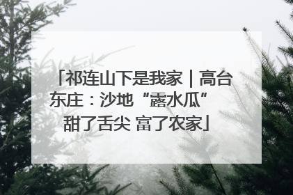 祁连山下是我家｜高台东庄：沙地“露水瓜” 甜了舌尖 富了农家