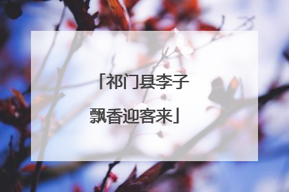 祁门县李子飘香迎客来