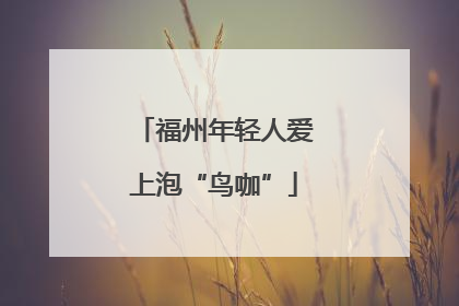 福州年轻人爱上泡“鸟咖”