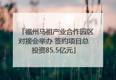 福州马祖产业合作园区对接会举办 签约项目总投资85.5亿元