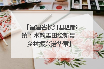 福建省长汀县四都镇：水韵圭田绘新景 乡村振兴谱华章