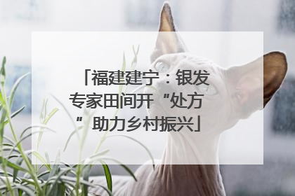 福建建宁：银发专家田间开“处方”助力乡村振兴