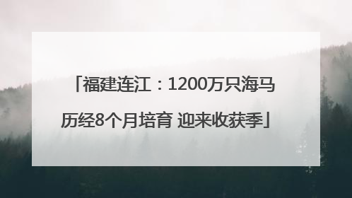 福建连江:1200万只海马历经8个月培育 迎来收获季