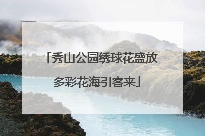 秀山公园绣球花盛放 多彩花海引客来