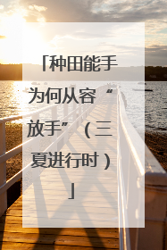 种田能手为何从容“放手”（三夏进行时）