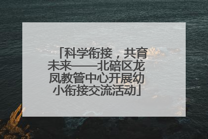 科学衔接，共育未来——北碚区龙凤教管中心开展幼小衔接交流活动