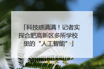 科技感满满！记者实探合肥高新区多所学校里的“人工智能”