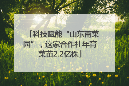 科技赋能“山东南菜园”，这家合作社年育菜苗2.2亿株