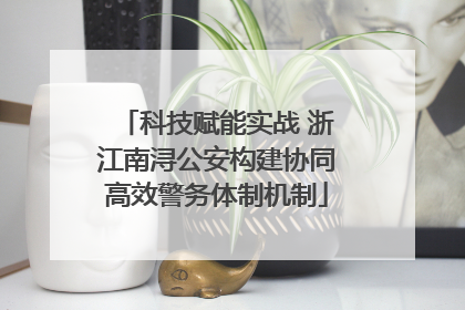 科技赋能实战 浙江南浔公安构建协同高效警务体制机制