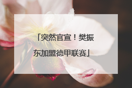 突然官宣！樊振东加盟德甲联赛