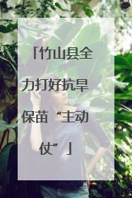 竹山县全力打好抗旱保苗“主动仗”