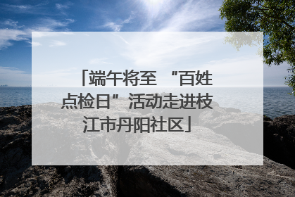 端午将至 “百姓点检日”活动走进枝江市丹阳社区