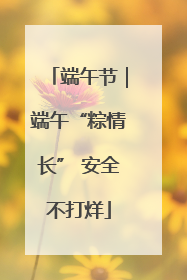 端午节｜端午“粽情长” 安全不打烊