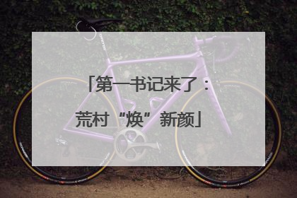 第一书记来了：荒村“焕”新颜
