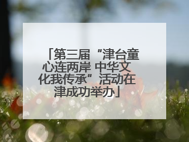第三届“津台童心连两岸 中华文化我传承”活动在津成功举办