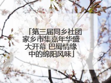第三届同乡社团家乡市集嘉年华盛大开幕 巴蜀情缘中的绵阳风味