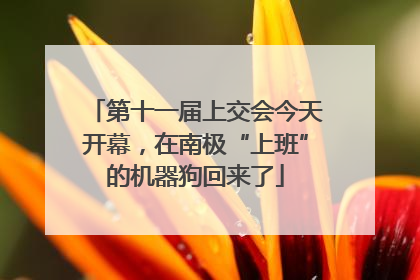 第十一届上交会今天开幕，在南极“上班”的机器狗回来了