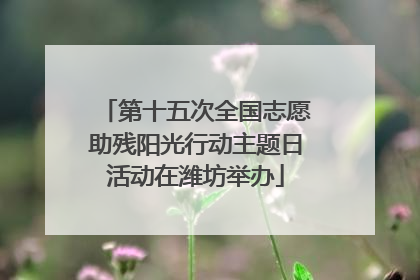 第十五次全国志愿助残阳光行动主题日活动在潍坊举办