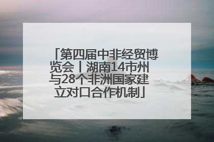 第四届中非经贸博览会丨湖南14市州与28个非洲国家建立对口合作机制