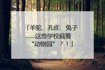 羊驼、孔雀、兔子……这些学校藏着 “动物园”？！