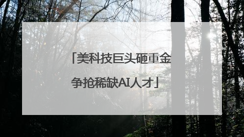 美科技巨头砸重金争抢稀缺AI人才