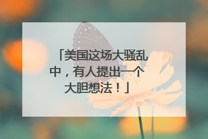美国这场大骚乱中，有人提出一个大胆想法！