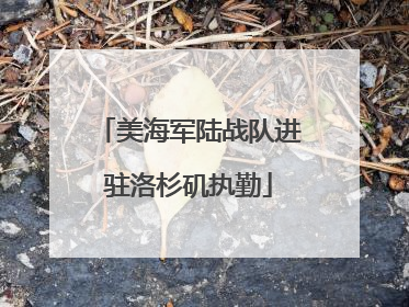 美海军陆战队进驻洛杉矶执勤