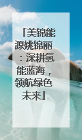 美锦能源姚锦丽：深耕氢能蓝海，领航绿色未来