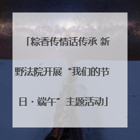 粽香传情话传承 新野法院开展“我们的节日・端午”主题活动