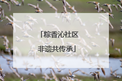 粽香沁社区 非遗共传承