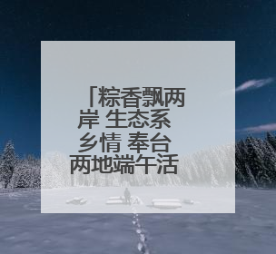 粽香飘两岸 生态系乡情 奉台两地端午活动深化生态文化交流