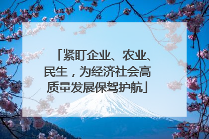 紧盯企业、农业、民生，为经济社会高质量发展保驾护航