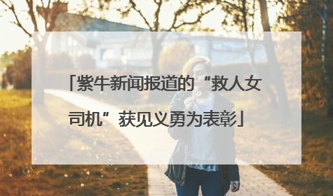 紫牛新闻报道的“救人女司机”获见义勇为表彰