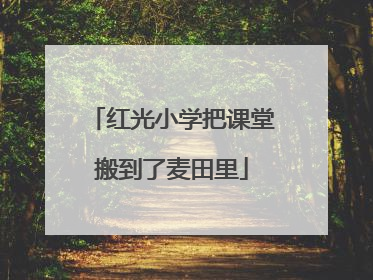 红光小学把课堂搬到了麦田里