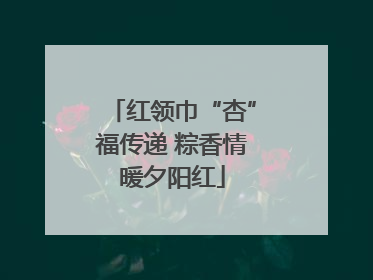 红领巾“杏”福传递 粽香情暖夕阳红