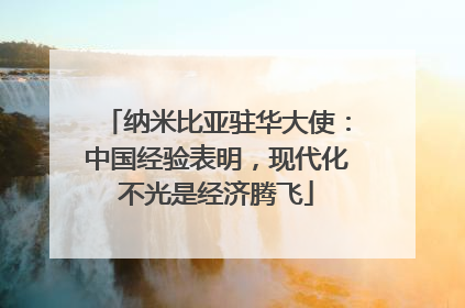 纳米比亚驻华大使：中国经验表明，现代化不光是经济腾飞