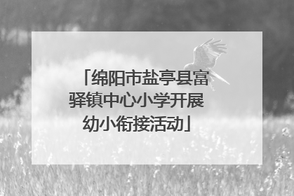 绵阳市盐亭县富驿镇中心小学开展幼小衔接活动