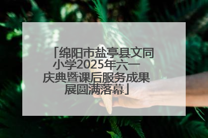 绵阳市盐亭县文同小学2025年六一庆典暨课后服务成果展圆满落幕
