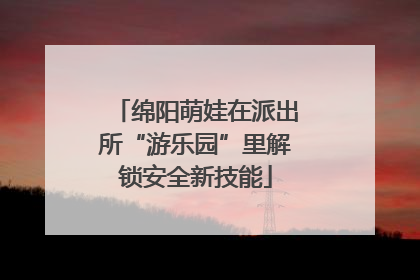 绵阳萌娃在派出所“游乐园”里解锁安全新技能