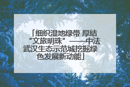 细织湿地绿带 厚结“文旅明珠”——中法武汉生态示范城挖掘绿色发展新动能
