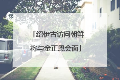 绍伊古访问朝鲜 将与金正恩会面