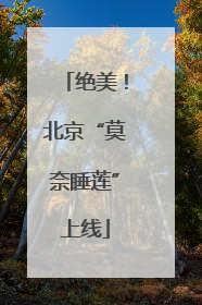 绝美！北京“莫奈睡莲”上线