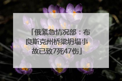 俄紧急情况部：布良斯克州桥梁坍塌事故已致7死47伤