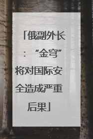 俄副外长：“金穹”将对国际安全造成严重后果