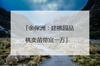 余保洲：建桃园品桃卖苗带富一方