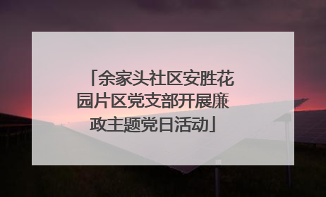 余家头社区安胜花园片区党支部开展廉政主题党日活动